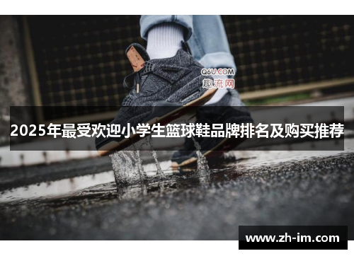 2025年最受欢迎小学生篮球鞋品牌排名及购买推荐