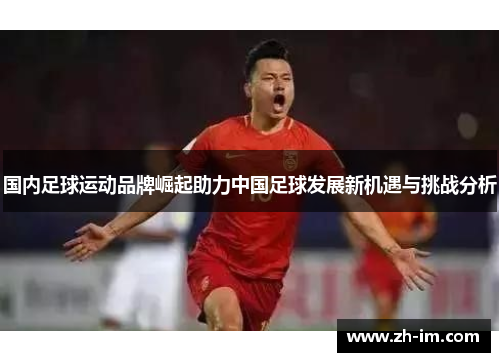 国内足球运动品牌崛起助力中国足球发展新机遇与挑战分析