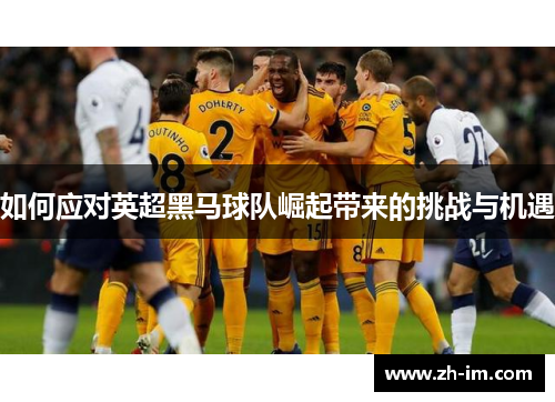 如何应对英超黑马球队崛起带来的挑战与机遇