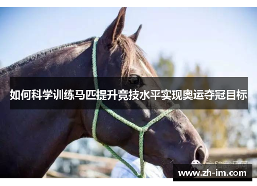 如何科学训练马匹提升竞技水平实现奥运夺冠目标