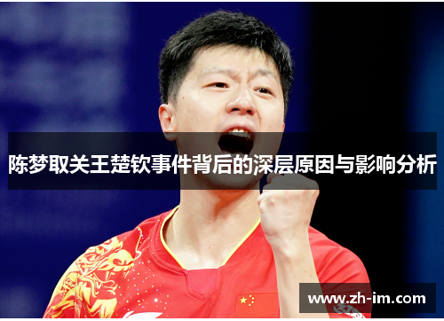 陈梦取关王楚钦事件背后的深层原因与影响分析