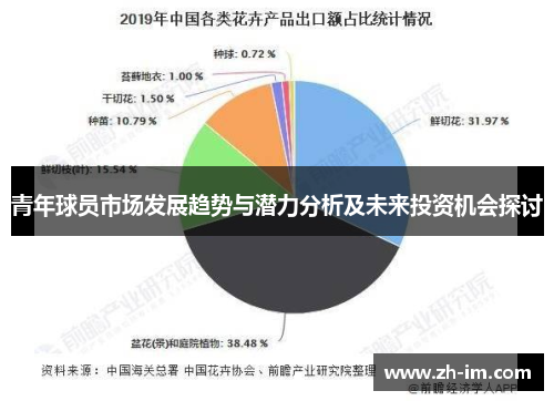 青年球员市场发展趋势与潜力分析及未来投资机会探讨