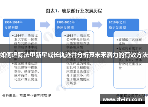 如何追踪法甲新星成长轨迹并分析其未来潜力的有效方法