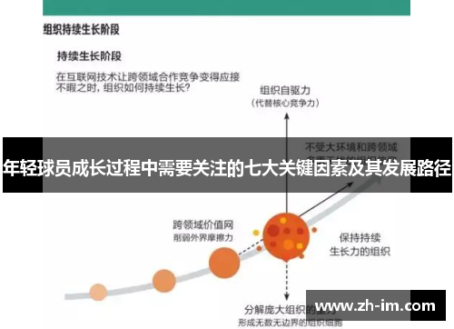 年轻球员成长过程中需要关注的七大关键因素及其发展路径