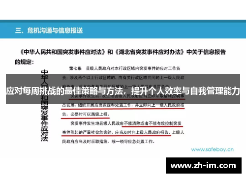 应对每周挑战的最佳策略与方法，提升个人效率与自我管理能力